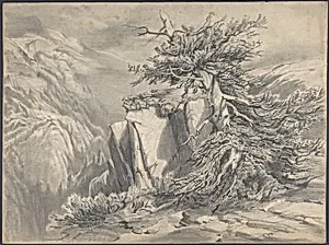 Broken Tree in Moutainous Landscape