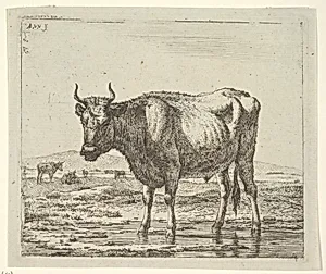 Bull Standing in Water, from Different Animals