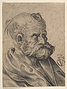 Bust of a Bearded Old Man