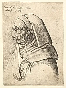 Bust of a man with a small turned-up nose and very high upper lip, wearing hood, in profile to the left by Leonardo da Vinci|Wenceslaus Hollar