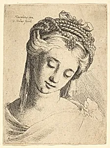 Bust of a young woman with elaborate headdress, looking down. by Ludovico Mazzolino|Wenceslaus Hollar