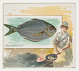 Butterfish, from Fish from American Waters series (N39) for Allen & Ginter Cigarettes by Allen & Ginter|Lindner, Eddy & Claus