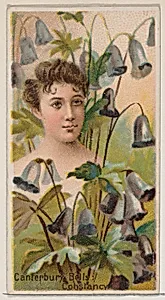 Canterbury Bells: Constancy, from the series Floral Beauties and Language of Flowers (N75) for Duke brand cigarettes by Donaldson Brothers|American Tobacco Company