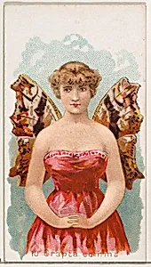 Card 10, Grapta Comma, from the Butterflies series (N183) issued by Wm. S. Kimball & Co. by Julius Bien|William S. Kimball & Company