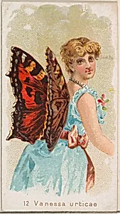 Card 12, Vanessa Urticae, from the Butterflies series (N183) issued by Wm. S. Kimball & Co. by Julius Bien|William S. Kimball & Company