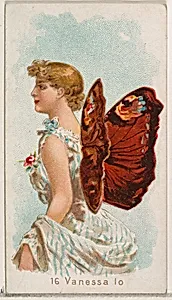 Card 16, Vanessa Io, from the Butterflies series (N183) issued by Wm. S. Kimball & Co. by William S. Kimball & Company|Julius Bien