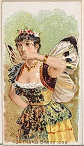 Card 34, Pieris Brassicae, from the Butterflies series (N183) issued by Wm. S. Kimball & Co. by William S. Kimball & Company|Julius Bien
