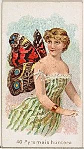 Card 40, Pyrameis Huntera, from the Butterflies series (N183) issued by Wm. S. Kimball & Co. by Julius Bien|William S. Kimball & Company