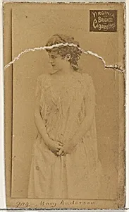 Card 904, Mary Anderson, from the Actors and Actresses series (N45, Type 2) for Virginia Brights Cigarettes by Allen & Ginter