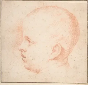Child's Head