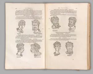 Portrait of Guido Guidi|Guido Guidi|Pierre Gaultier|Francesco Salviati (Francesco de' Rossi)|Francesco Primaticcio