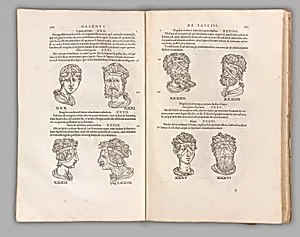 Chirurgia è Graeco in Latinum conversa, Vido Vidio Florentino interprete by Guido Guidi|Guido Guidi|Pierre Gaultier|Francesco Salviati (Francesco de' Rossi)|Francesco Primaticcio