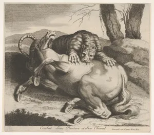 Conbat d'une Pantere et d'un Cheval
