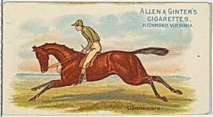 Connemara, from The World's Racers series (N32) for Allen & Ginter Cigarettes by Allen & Ginter|Lindner, Eddy & Claus