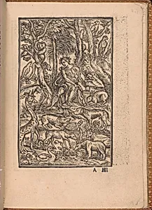 Convivio delle Belle Donne by Nicolò Zoppino|Matteo da Treviso