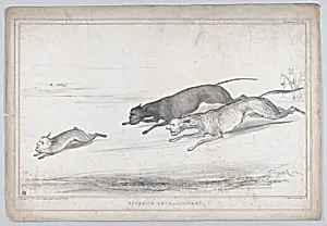Coursing Extraordinary by Alfred Ducôte|Henry Peter, 1st Baron Brougham and Vaux|William Lamb, 2nd Viscount Melbourne|Arthur Wellesley, 1st Duke of Wellington|Thomas McLean|Sir Robert Peel|John Singleton Copley, Lord Lyndhurst|John Doyle