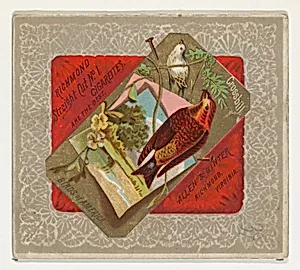 Crossbill, from the Birds of America series (N37) for Allen & Ginter Cigarettes by Allen & Ginter