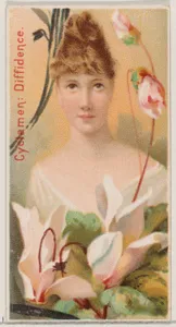 Cyclamen: Diffidence, from the series Floral Beauties and Language of Flowers (N75) for Duke brand cigarettes