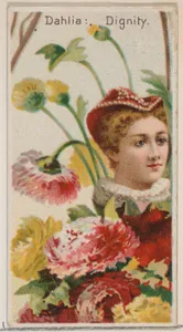 Dahlia: Dignity, from the series Floral Beauties and Language of Flowers (N75) for Duke brand cigarettes