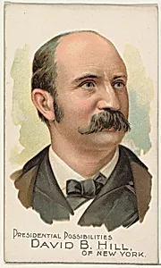 David B. Hill of New York, from the Presidential Possibilities series (N124) issued by Duke Sons & Co. to promote Honest Long Cut Tobacco by W. Duke, Sons & Co.|The Giles Company