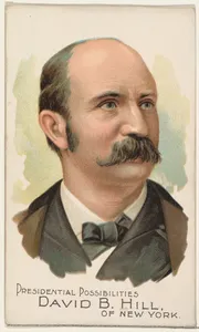 David B. Hill of New York, from the Presidential Possibilities series (N124) issued by Duke Sons & Co. to promote Honest Long Cut Tobacco