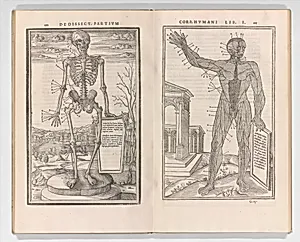 De dissectione partium corporis humani libri tres by Geofrey Tory|Charles Estienne|Simon de Colines|Perino del Vaga (Pietro Buonaccorsi)|Jean "Mercure" Jollat|Estienne de la Rivière