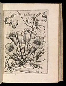 De Florum Cultura. Rome, 1633