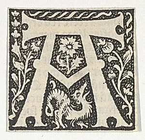 Decorated Roman alphabet