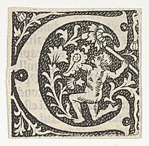 Decorated Roman alphabet