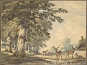 Deer under Beech Trees in Winter