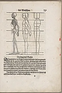 Des Circkels unnd Richtscheyts, auch der Perspectiva und Proportion der Menschen und Rosse, kurtze, doch gründtliche underweisung deß rechten gebrauchs by Heinrich Lautensack|Georg Rab|Sigmund Feyerabend and Heinrich Lautensack