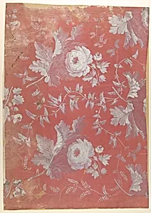 Design for Patterned Silk