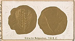 Didrachm Metapontum, 710 B.C., from the Ancient Coins series (N180) issued by Wm. S. Kimball & Co. by William S. Kimball & Company