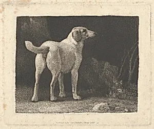 Dog (A Foxhound Viewed from Behind)