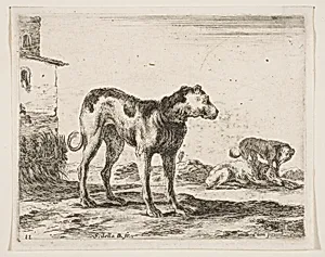 Dogs, plate 11 from "Various Animals" (Diversi Animali) by Stefano della Bella