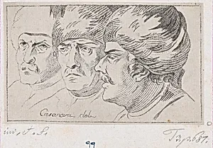 Donkey carrying a flag on its back