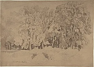 Edge of a Wood near Frascati by Ernst Fries