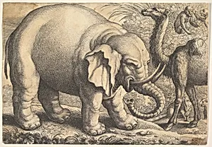 Elephant and Camel (reverse copy)