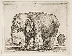 Elephant, plate 10 from "Various Animals" (Diversi Animali) by Stefano della Bella