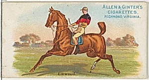 Elkwood, from The World's Racers series (N32) for Allen & Ginter Cigarettes by Allen & Ginter|Lindner, Eddy & Claus