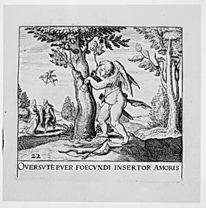 Emblemata Secularia by Theodor de Bry|Hieronymus Galler