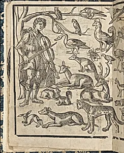 Essempio di recammi, page 12 (verso) by Giovanni Antonio di Nicolini da Sabio e i fratelli|Giovanni Antonio Tagliente
