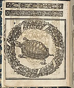 Essempio di recammi, page 23 (verso)