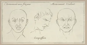 Étonnement avec frayeur, Compassion, Mouvement Violent (from Caractères des passions, gravés sur les desseins de l'illustre Monsieur le Brun)