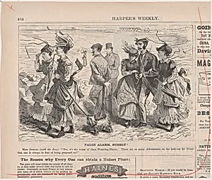 False Alarm, Surely! (from "Harper's Weekly," Vol. XIII) by Winslow Homer|Harper's Weekly|Harper & Brothers