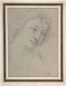 Figure of Young Man or Woman in Bust-length, in Three-Quarter View