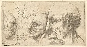 Five Heads by Leonardo da Vinci|Wenceslaus Hollar