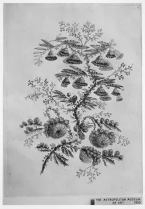 Flowers from Nouvelle Suite de Cahiers de fleurs ideales a l'usage des dessinateurs et des peintres (Nr 1)