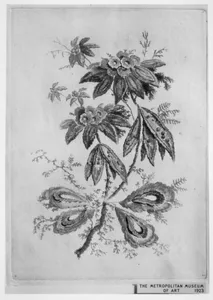 Flowers from Nouvelle Suite de Cahiers de Fleurs idéales a l'usage des dessinateurs et des peintres (Nr 3)
