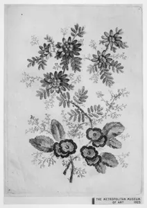 Flowers from Nouvelle Suite de Cahiers de Fleurs ideales a l'usage des dessinateurs et des peintres